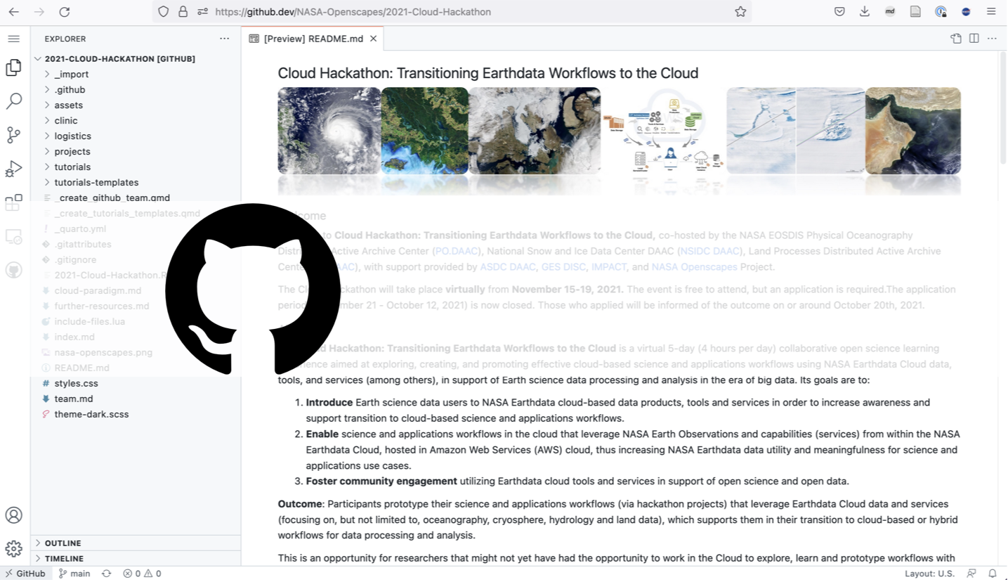 Screenshot of GitHub IDE